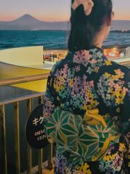 Hanabi (24)